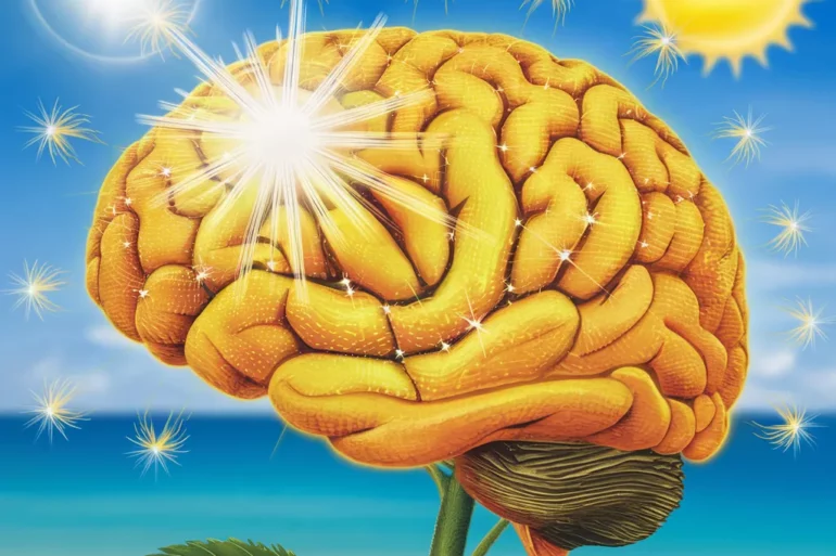 Immagine di un cervello esposto al sole estivo